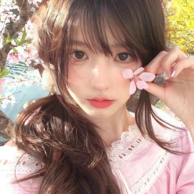 菊石